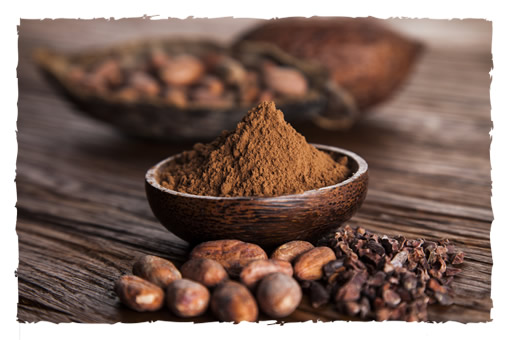 Organic Cacao from Peruvian Amazon